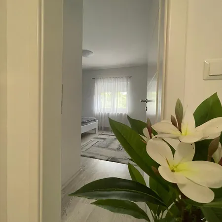 Apartament Kis *